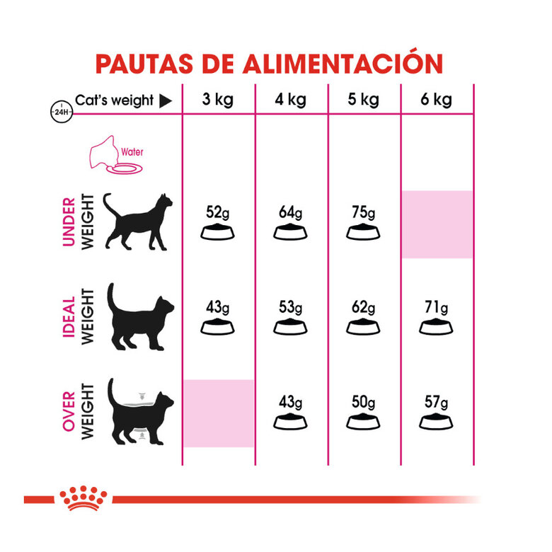 Royal Canin Adult Exigent Protein ração para gatos, , large image number null
